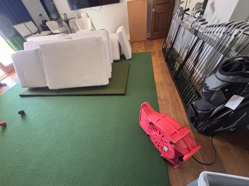Cushions drying with an air mover running after cleaning
